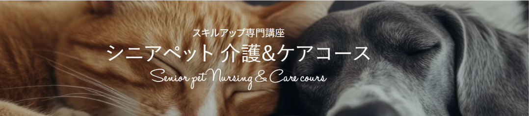 シニアペット 介護&ケアコース