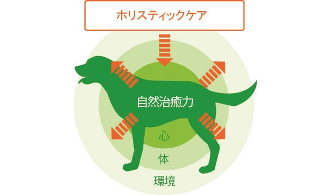 ホリスティックケアの考え方