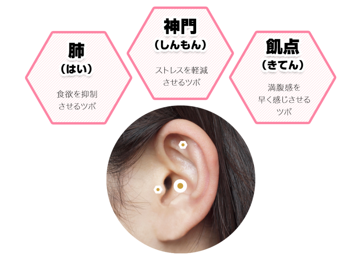 代表的な耳つぼの位置の画像