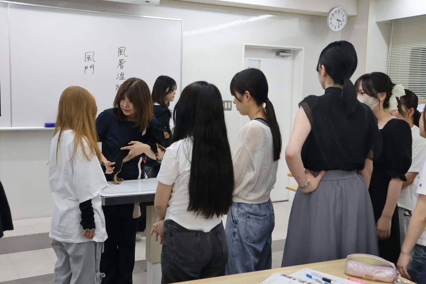 ワンちゃんと触れ合いながら実践で学んでいる画像