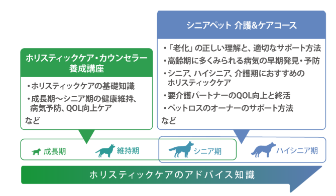 シニアペット 介護&ケアコースの特徴