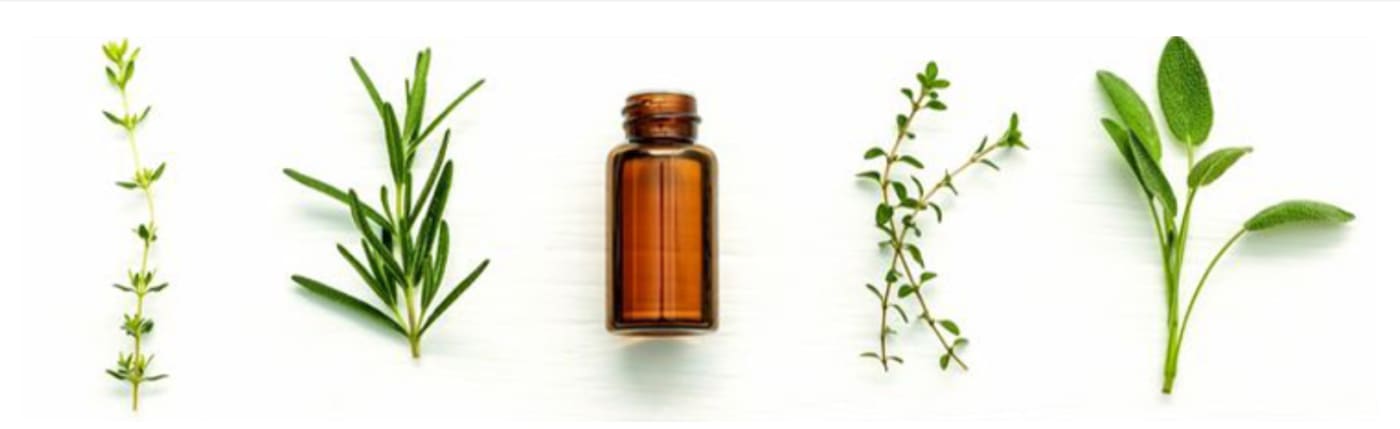 アロマに使う植物とビンの画像