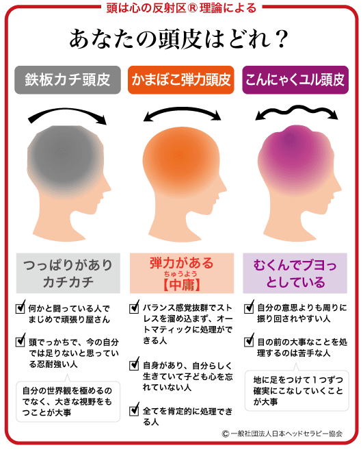 頭皮の状態を説明する画像