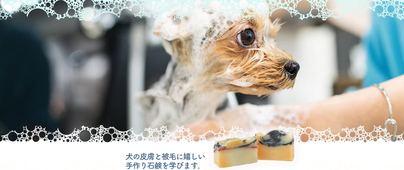 犬をシャンプーしている画像と石けんの画像