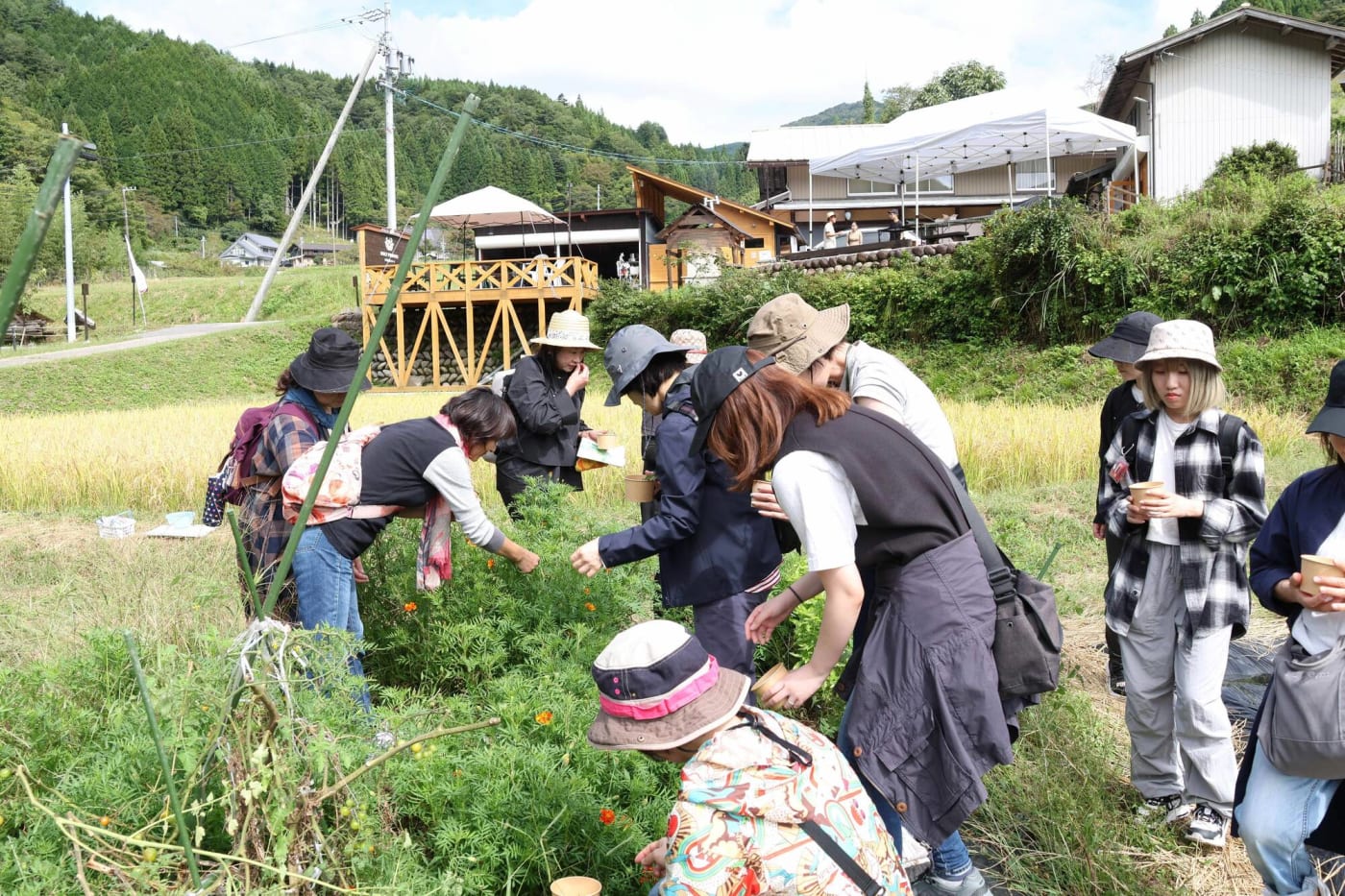 課外セミナーの様子の画像