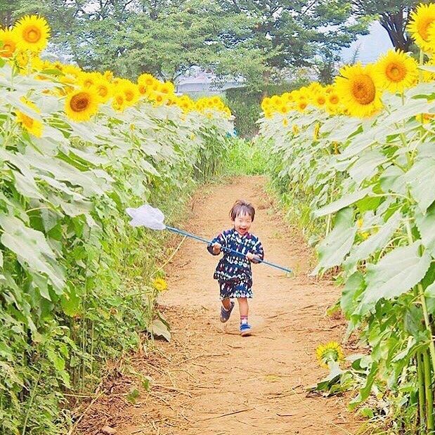 準グランプリ